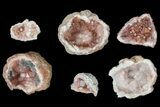Flat: Small, Pink Amethyst Geode Sections From Argentina - Pieces #182599-1